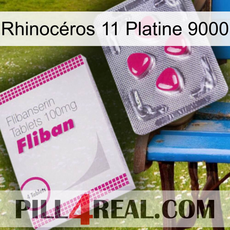 Rhinocéros 11 Platine 9000 32